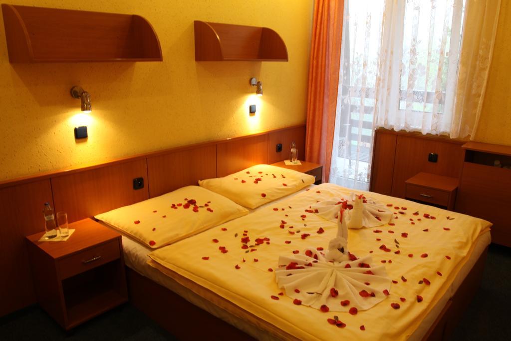 Hotel Odra Ostravice Chambre photo